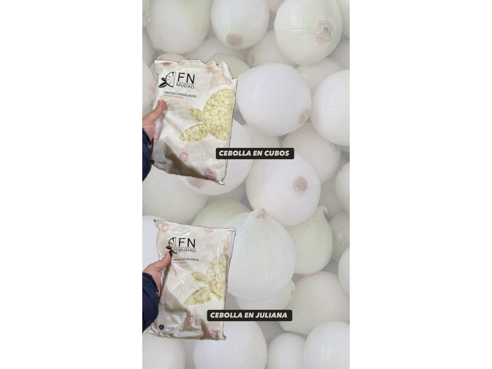 Bolsa de cebolla x 1 kg de Pictofamila Avicola