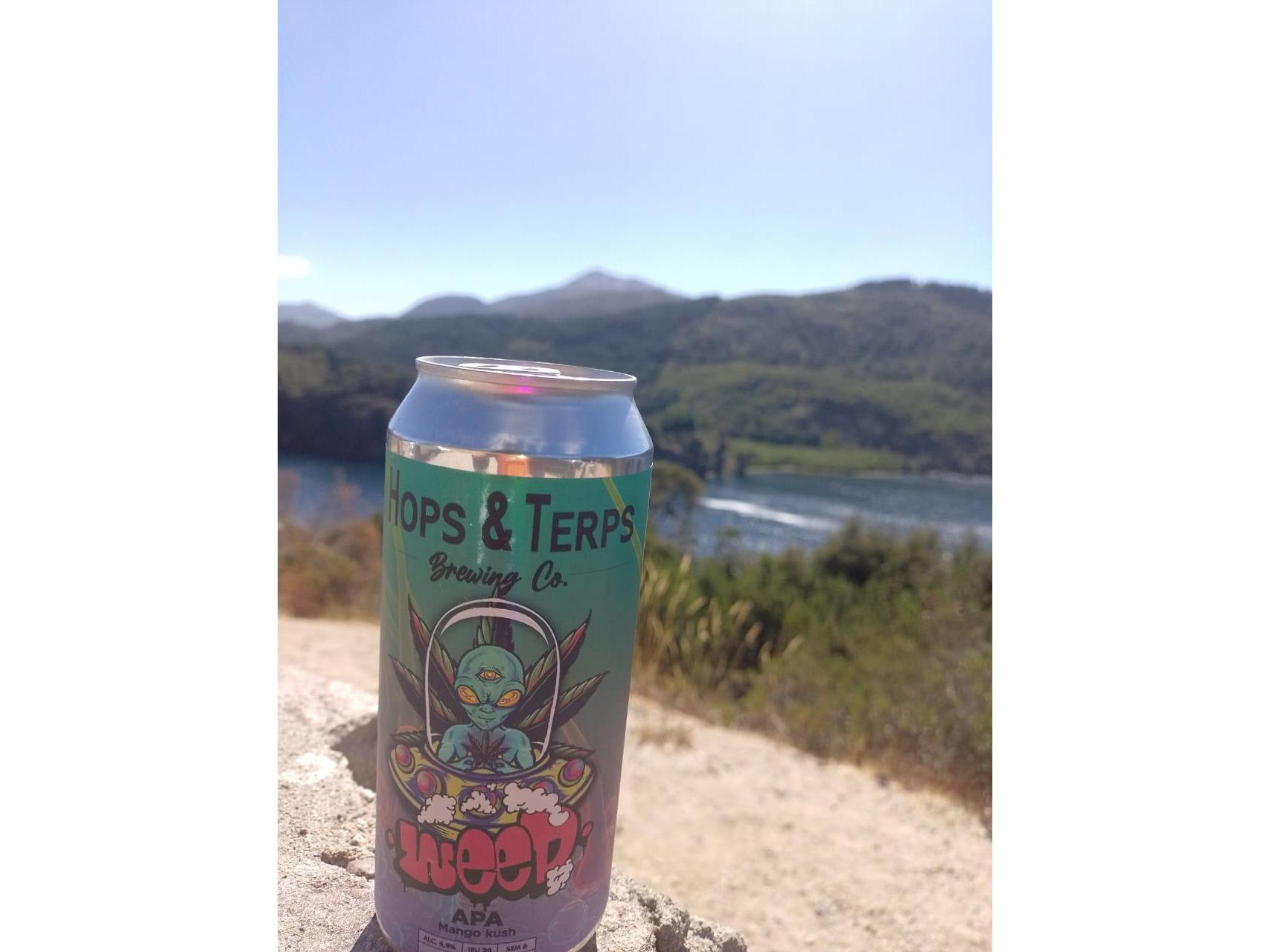 WEED LATA - APA MANGO KUSH