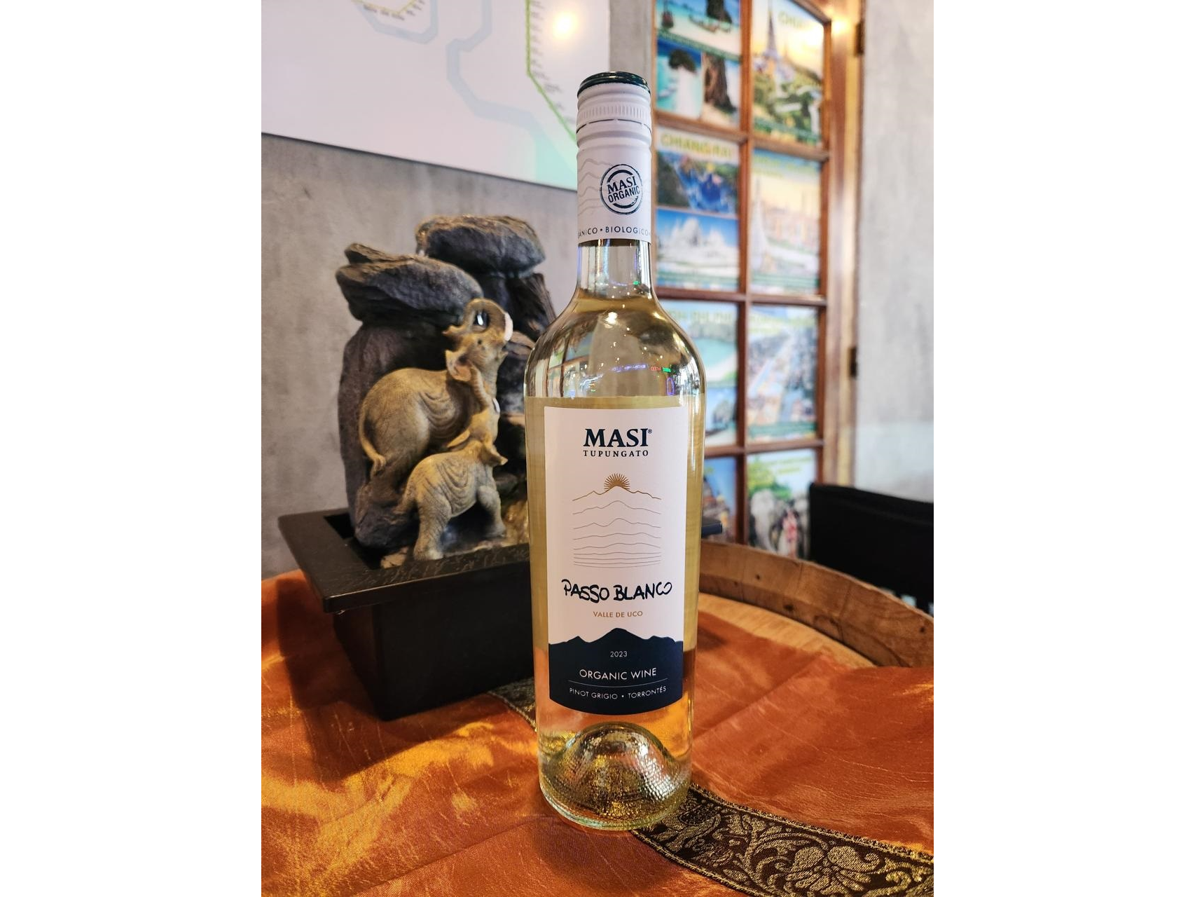 PINOT GRIGIO-TORRONTES, MASI TUPUNGATO, PASO DOBLE.
