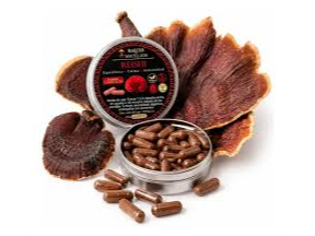 REISHI EN CAPSULAS SOMOS SETAS