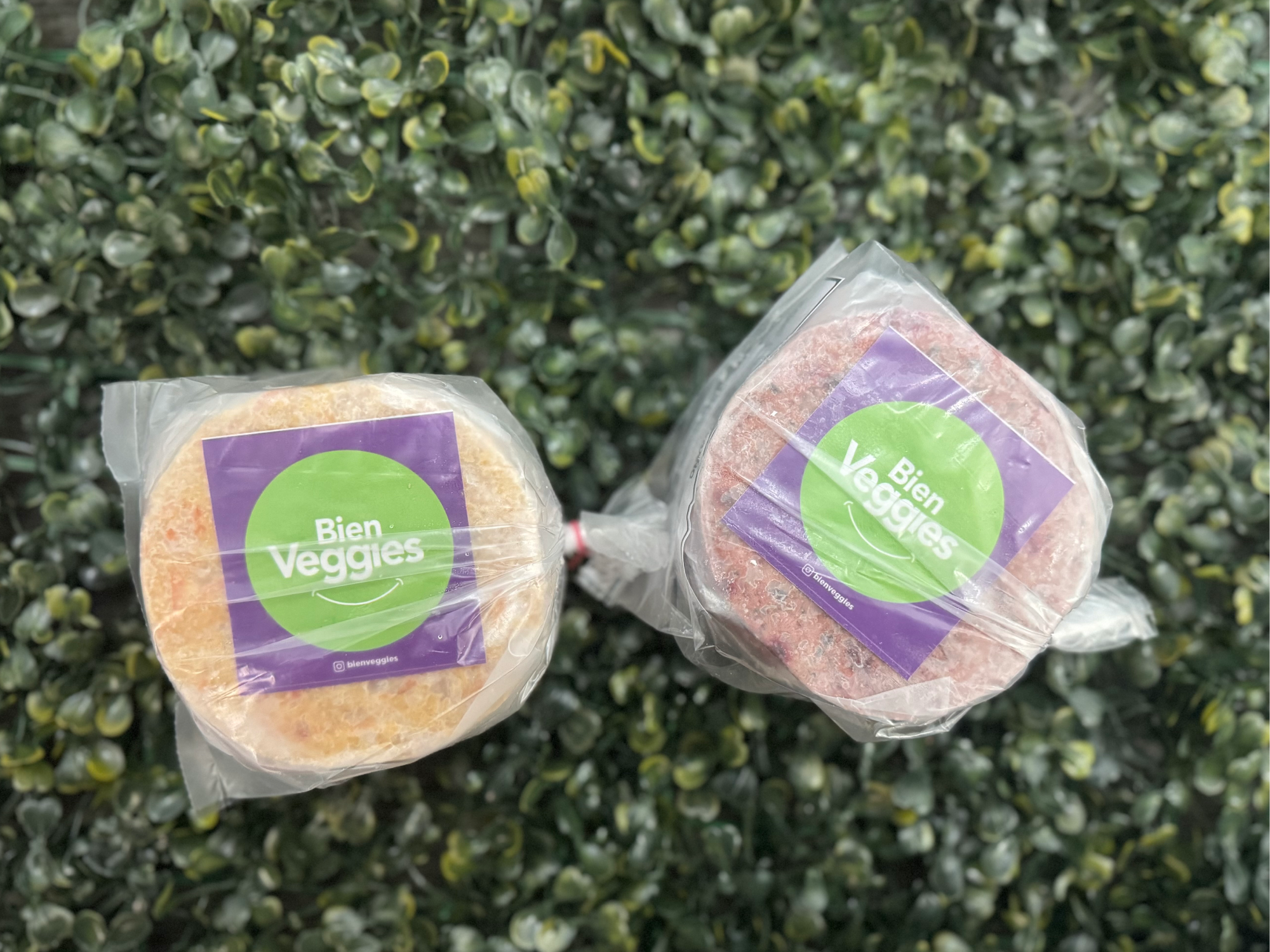 HAMBURGUESAS VEGGIES