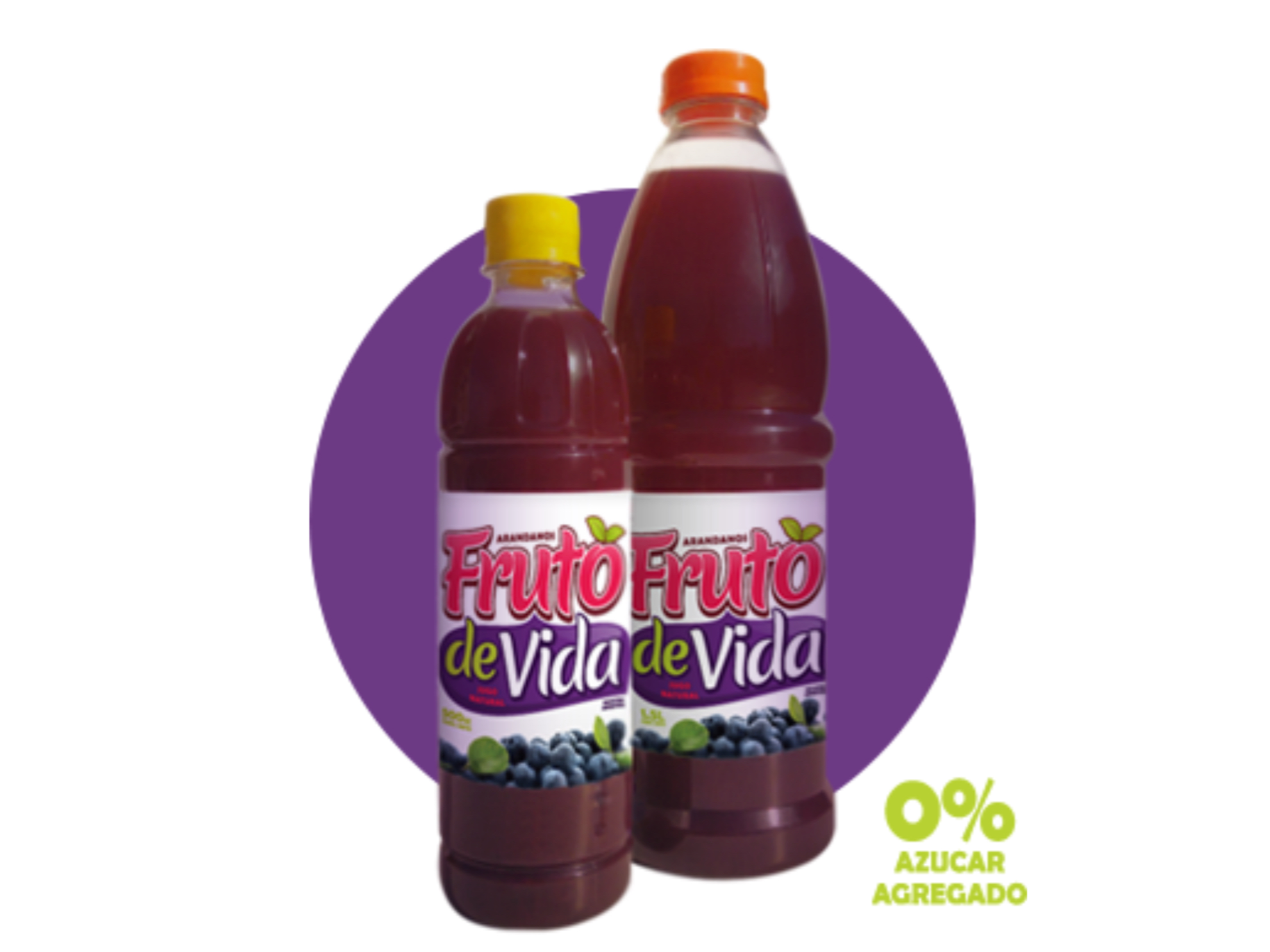 JUGO DE ARANDANOS