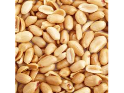 MANI TOSTADO SIN SAL