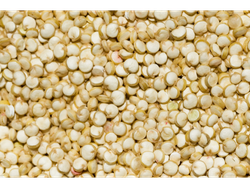 QUINOA