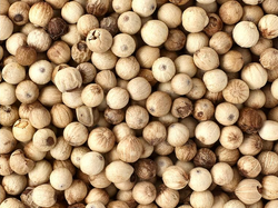 PIMIENTA BLANCA EN GRANO