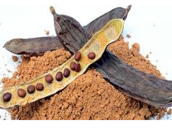HARINA DE ALGARROBA
