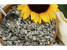 SEMILLAS DE GIRASOL PREMIUM