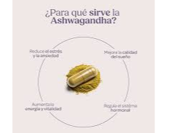 ASHWAGANDA EN CAPSULAS SOMOS SETAS