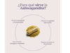 ASHWAGANDA EN CAPSULAS SOMOS SETAS