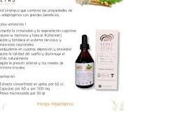 HONGOS ADAPTOGENOS UNIVERSO MICELAR