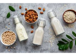 LECHE VEGETAL