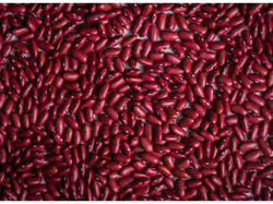 POROTOS COLORADOS