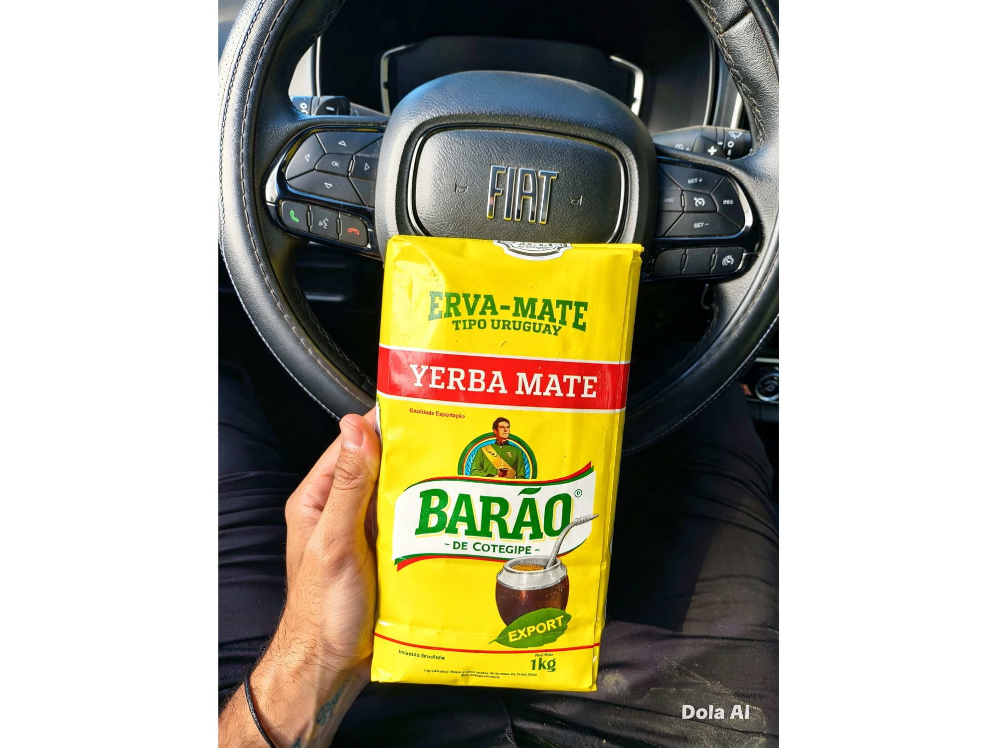 Yerba barao