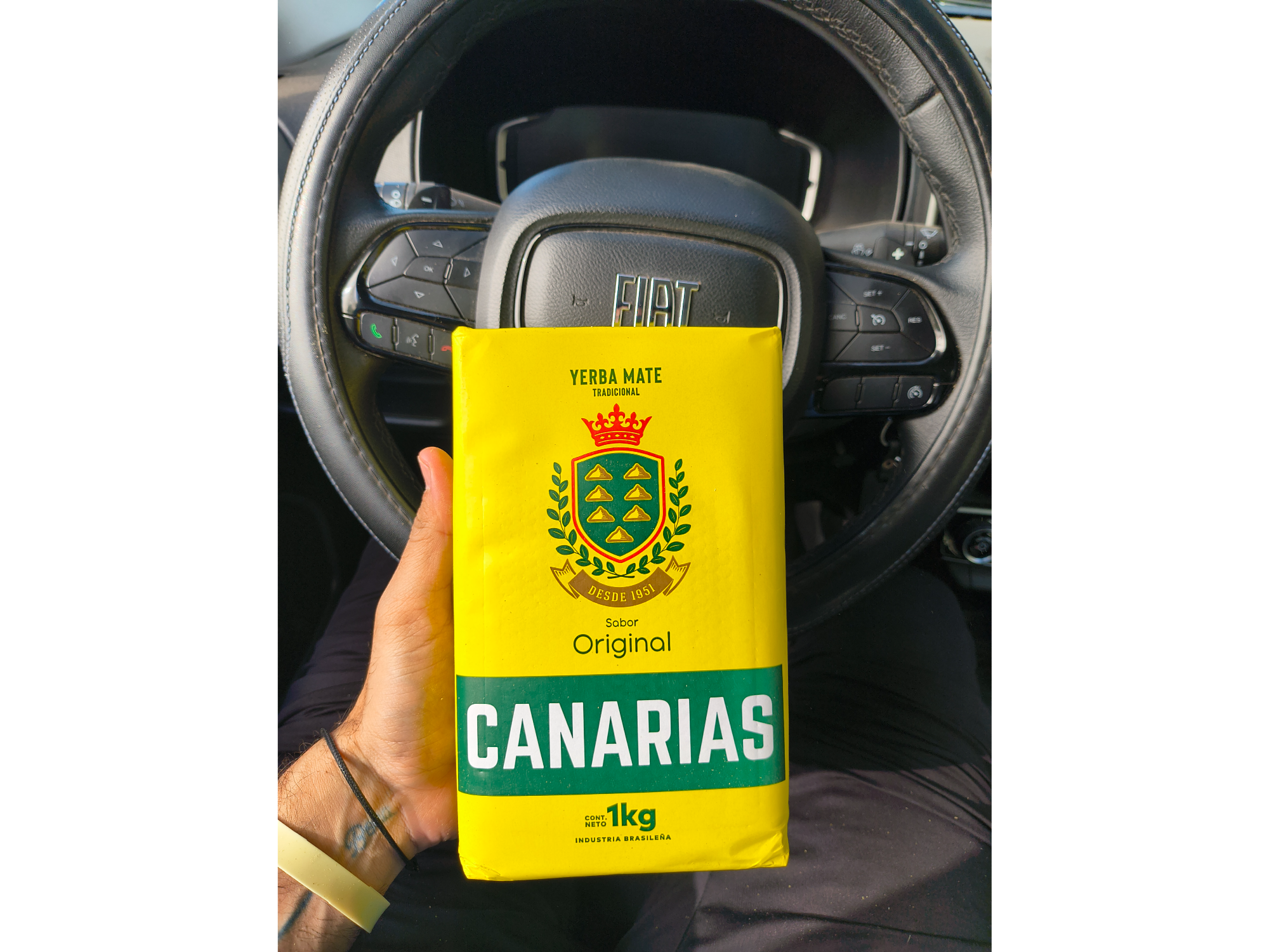 Yerba canaria