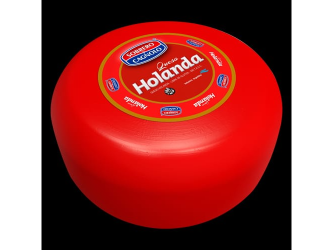 Queso Holanda 100g