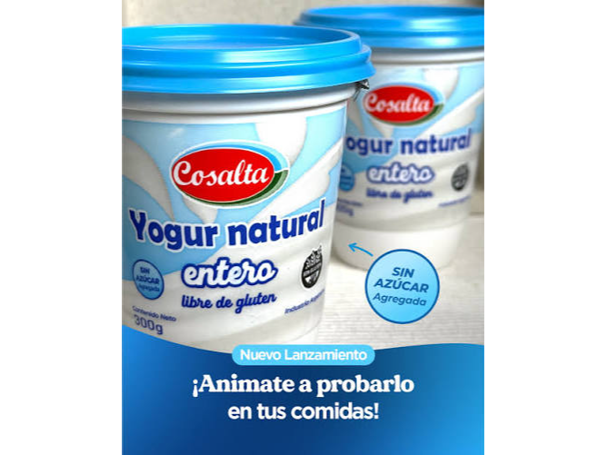 yogurt natural 300gr