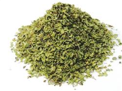 OREGANO