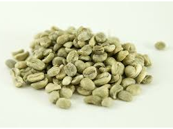 CAFE VERDE EN GRANOS