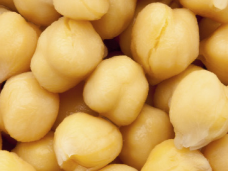 GARBANZO