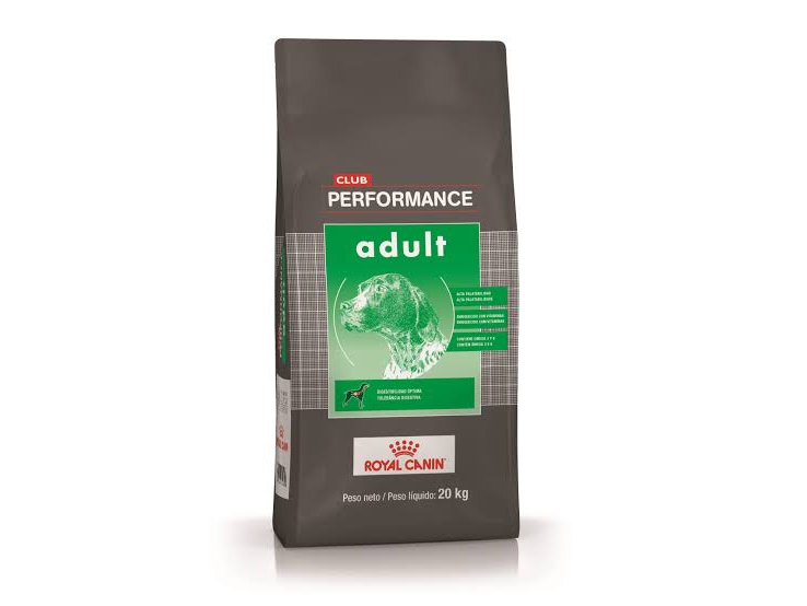 Performance Adultos