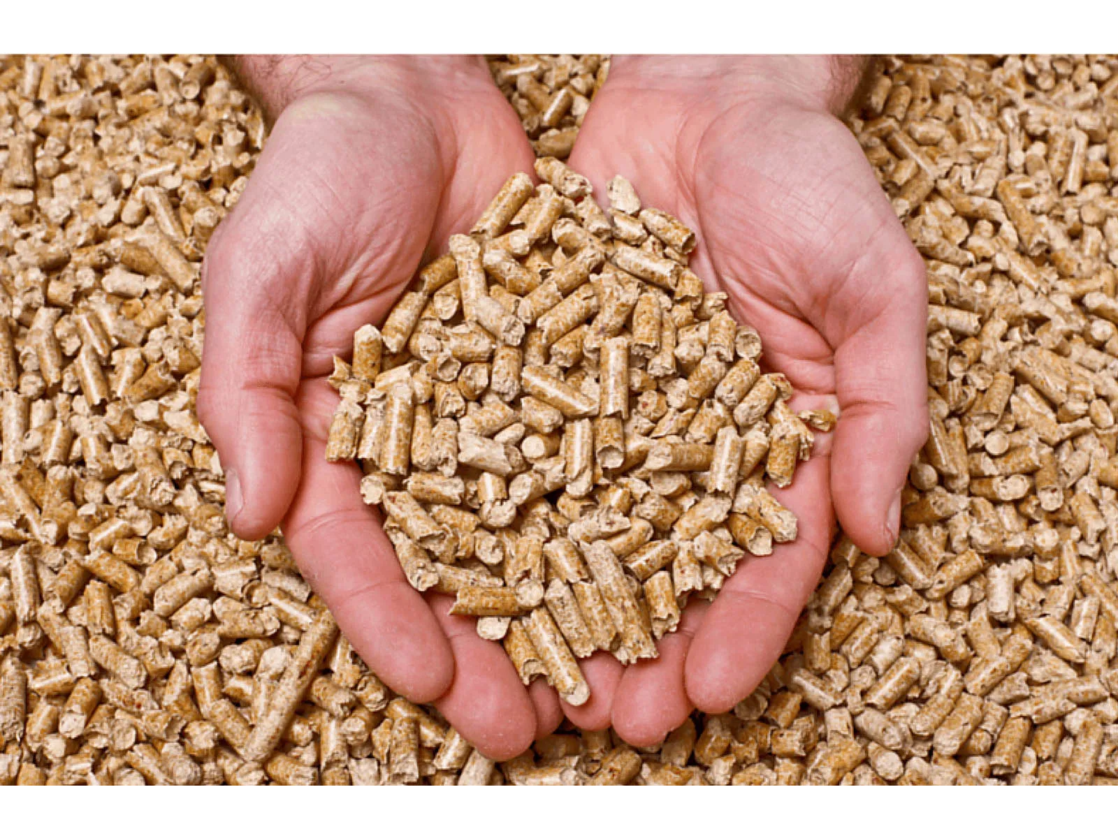 Pellet de Pino Sanitarios para Gatos x 5kg