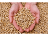Pellet de Pino Sanitarios para Gatos x 5kg