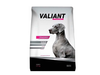 Valiant