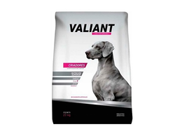 Valiant