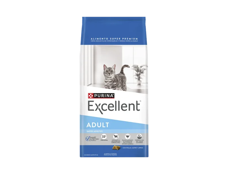 Excellent Gatos Adultos