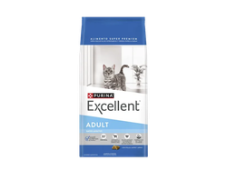 Excellent Gatos Adultos