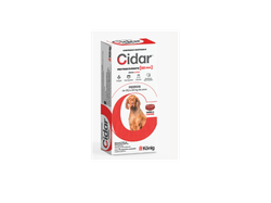 Cidar - Perros de 25.1 a 50 kgs.