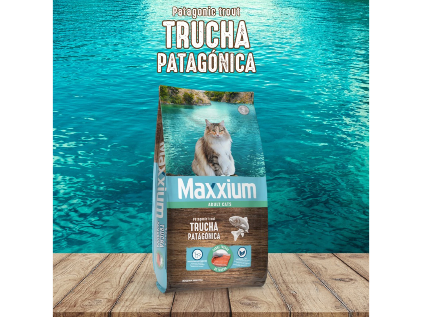 Maxxium Adult Cat Trucha Patagonica x 10kg