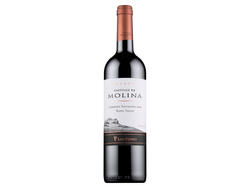 Vino Castillo Molina Cabernet 750cc