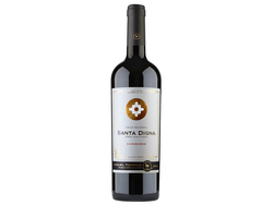 Vino Santa Digna Cabernet 2015 750cc