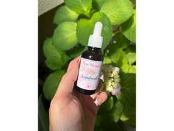 Aceite de Rosa Mosqueta 30ml