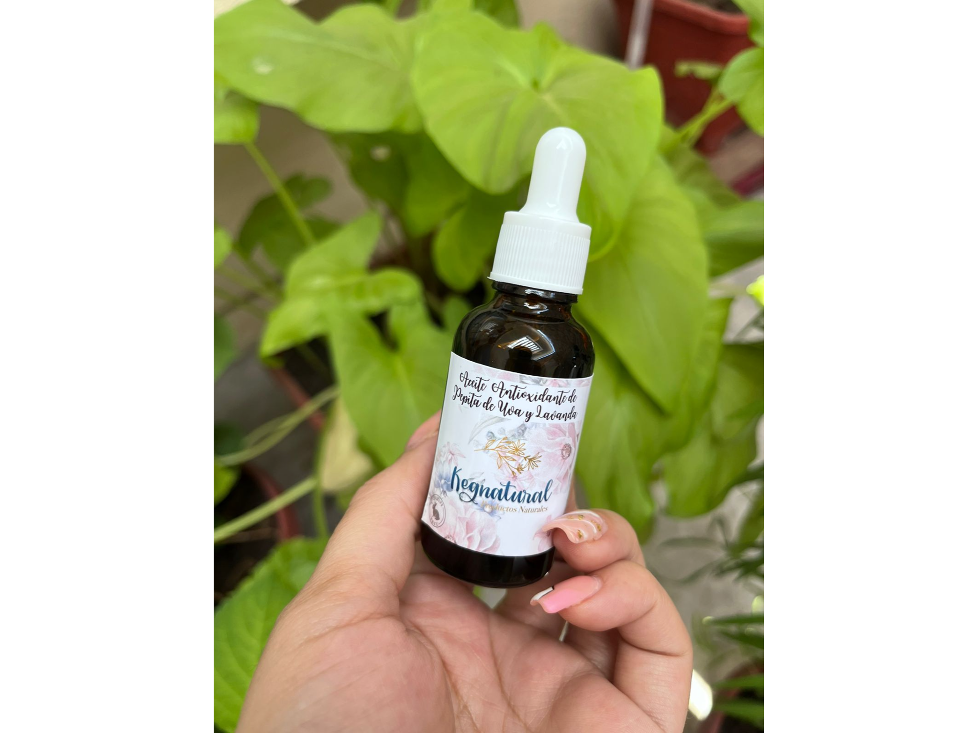 Aceite Antioxidante de Pepita de Uva y lavanda 30ml