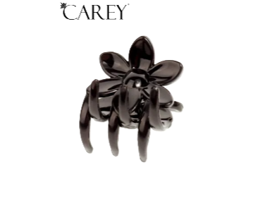 BROCHE CAREY 6043/4