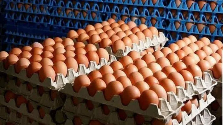 HUEVOS