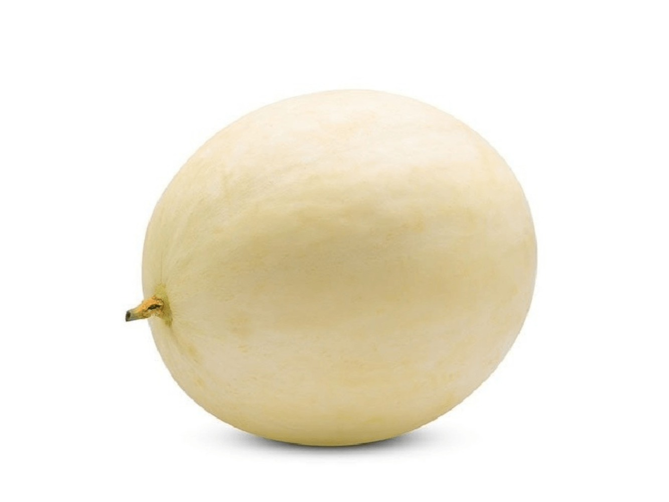 MELÓN