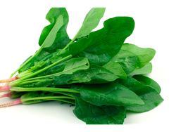 Espinaca