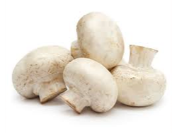 CHAMPIÑON