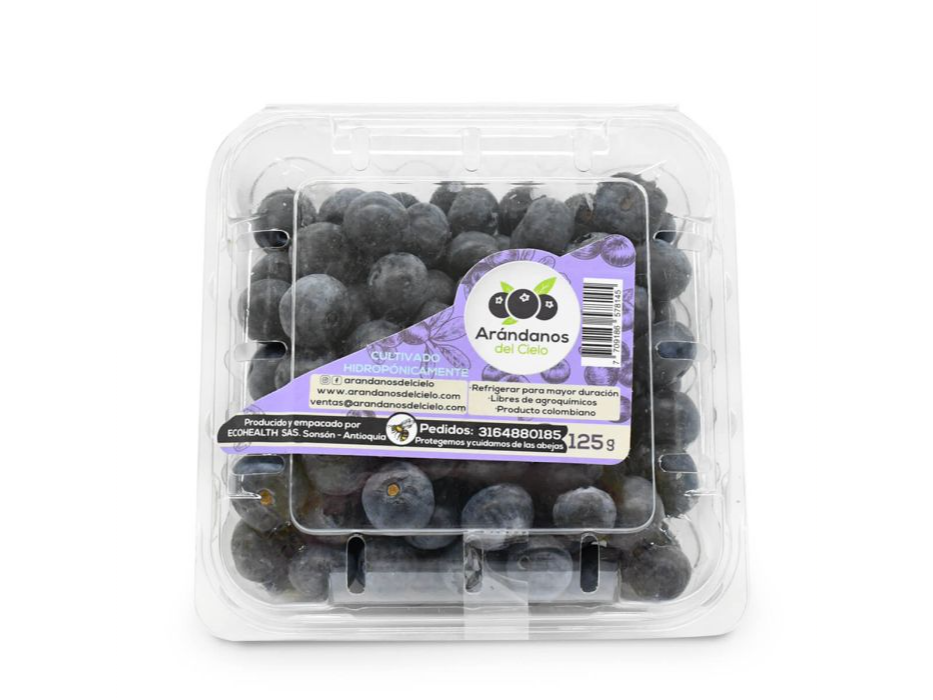 ARÁNDANOS (bandeja)