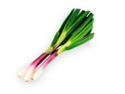 Cebolla de verdeo