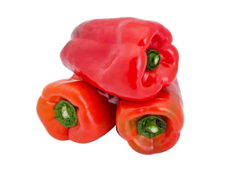 PIMIENTO ROJO