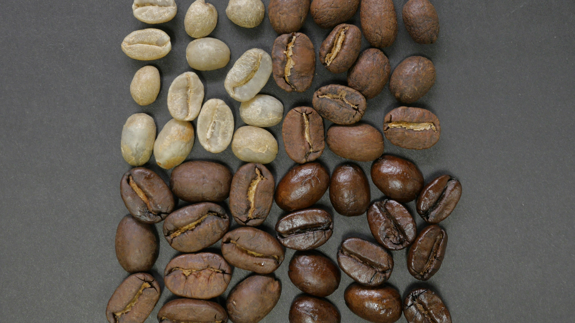 Muestras Café Especialidad