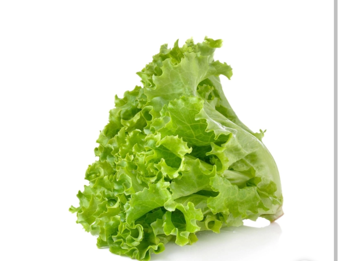 Lechuga rulito