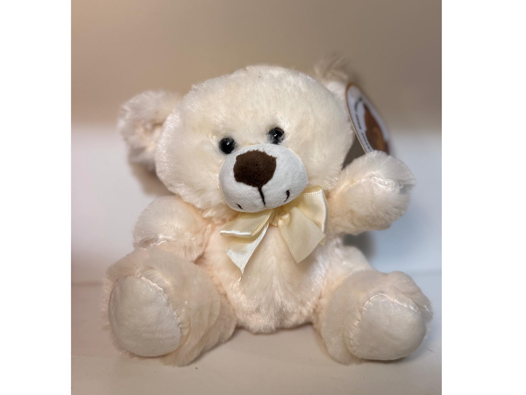 Accesorio 🧸