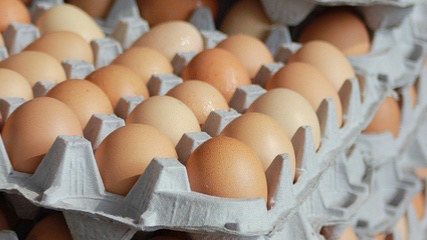 Huevos