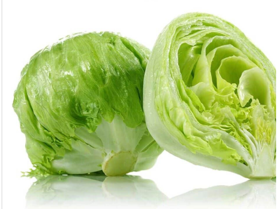 Lechuga Arrepollada