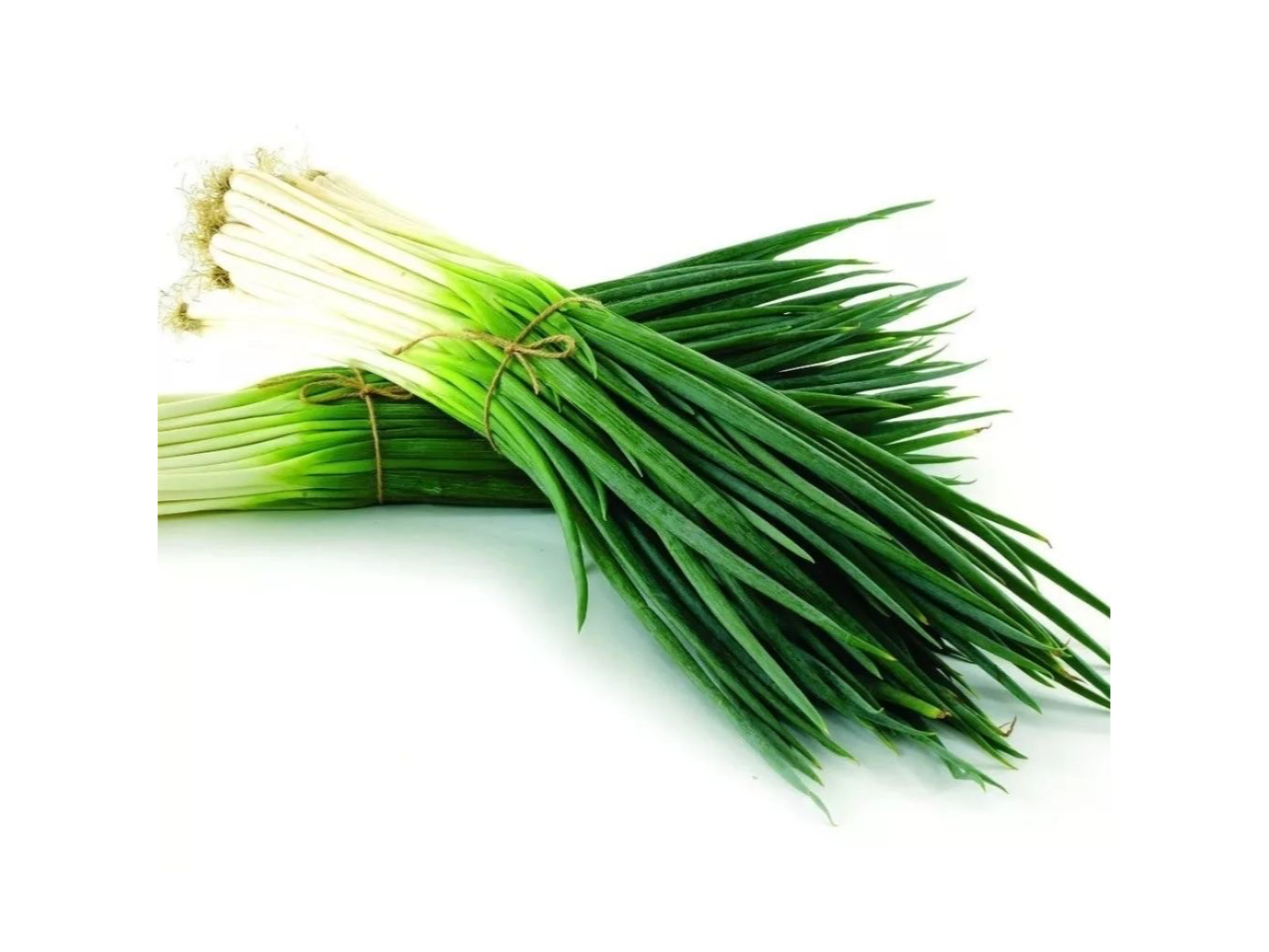 Cebolla verdeo x100gr